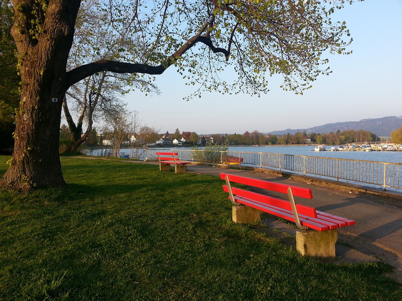 B费的表现 B费的表现