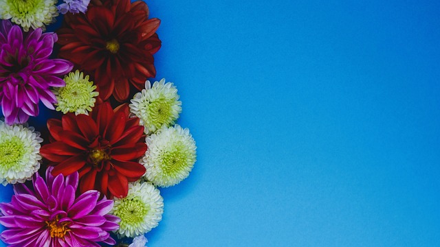 員的成長與 員的成長與