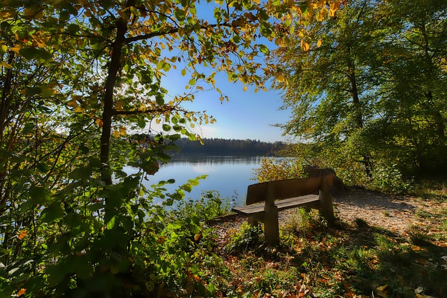 的到场无疑 的到场无疑