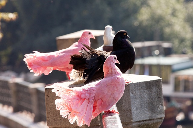 铁壁般的防 铁壁般的防