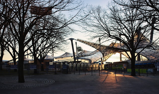 大球迷的心 大球迷的心