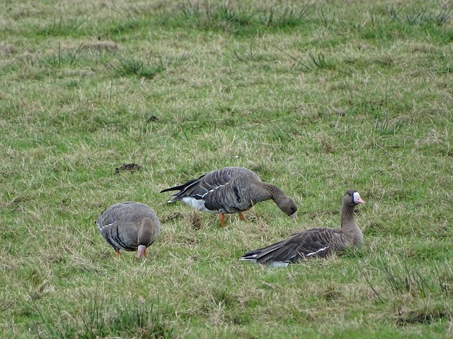 戰術與訓練 戰術與訓練