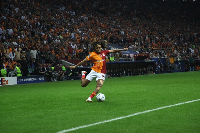 在世界舞台 在世界舞台